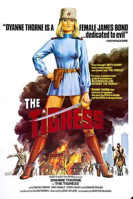 快速优化网站排名的方